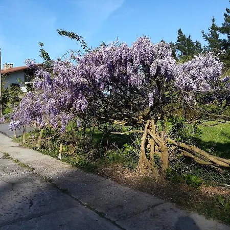 Casa Rural Miamendi-2